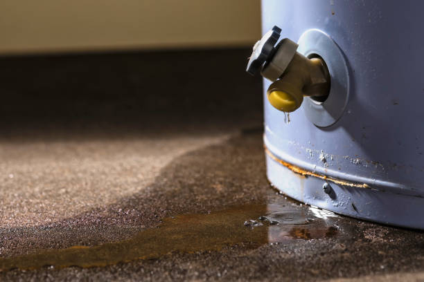 Best Emergency water damage restoration  in Belleair, FL