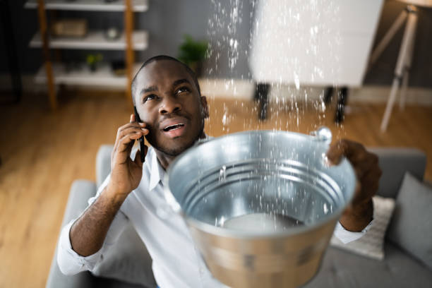 Best Water damage contractors near me  in Belleair, FL