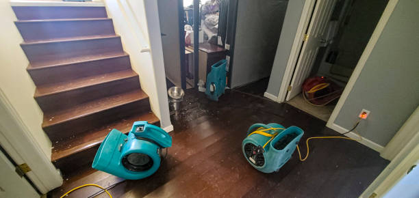 Best Flooded house restoration  in Belleair, FL