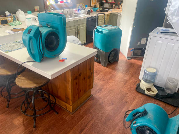Best Water damage mitigation services  in Belleair, FL