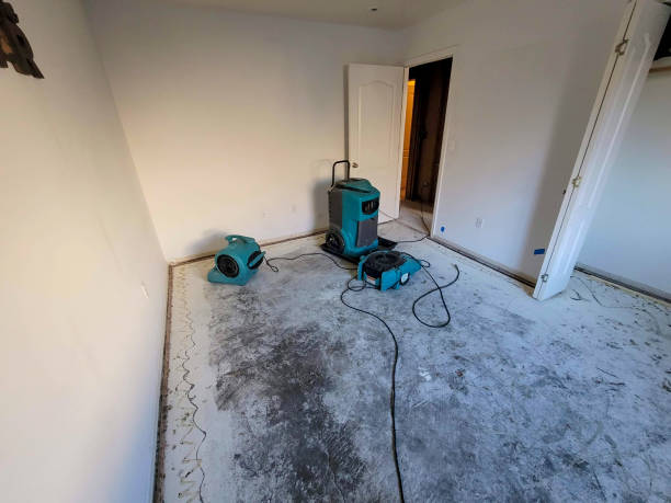 Best Ceiling water damage repair  in Belleair, FL