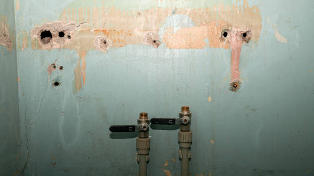 Best Commercial water damage restoration  in Belleair, FL