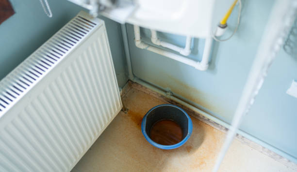 Best Water damage cleanup near me  in Belleair, FL