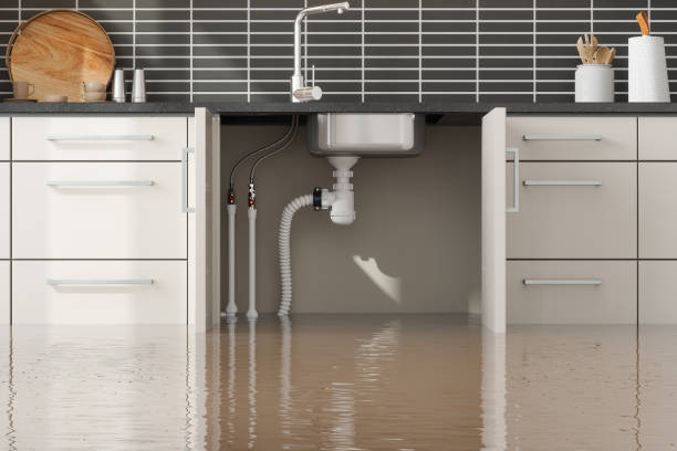 Best 24/7 water damage repair  in Belleair, FL