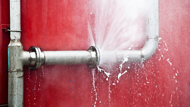 Best Residential water damage restoration  in Belleair, FL