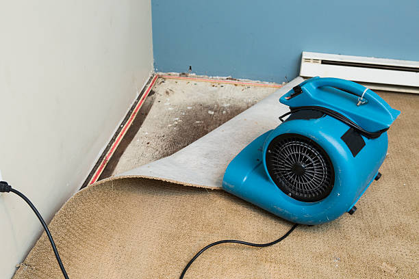 Best Professional water damage repair  in Belleair, FL
